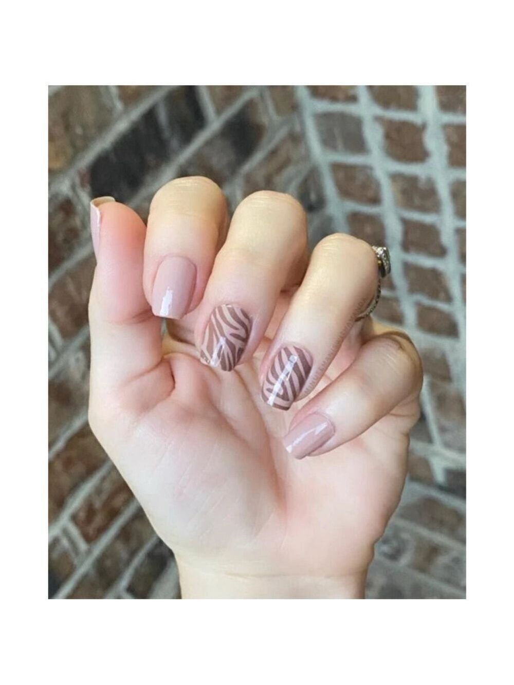 Color Street All Wild Up Nude Brown Zebra Print Press-On Nail Strips One Size